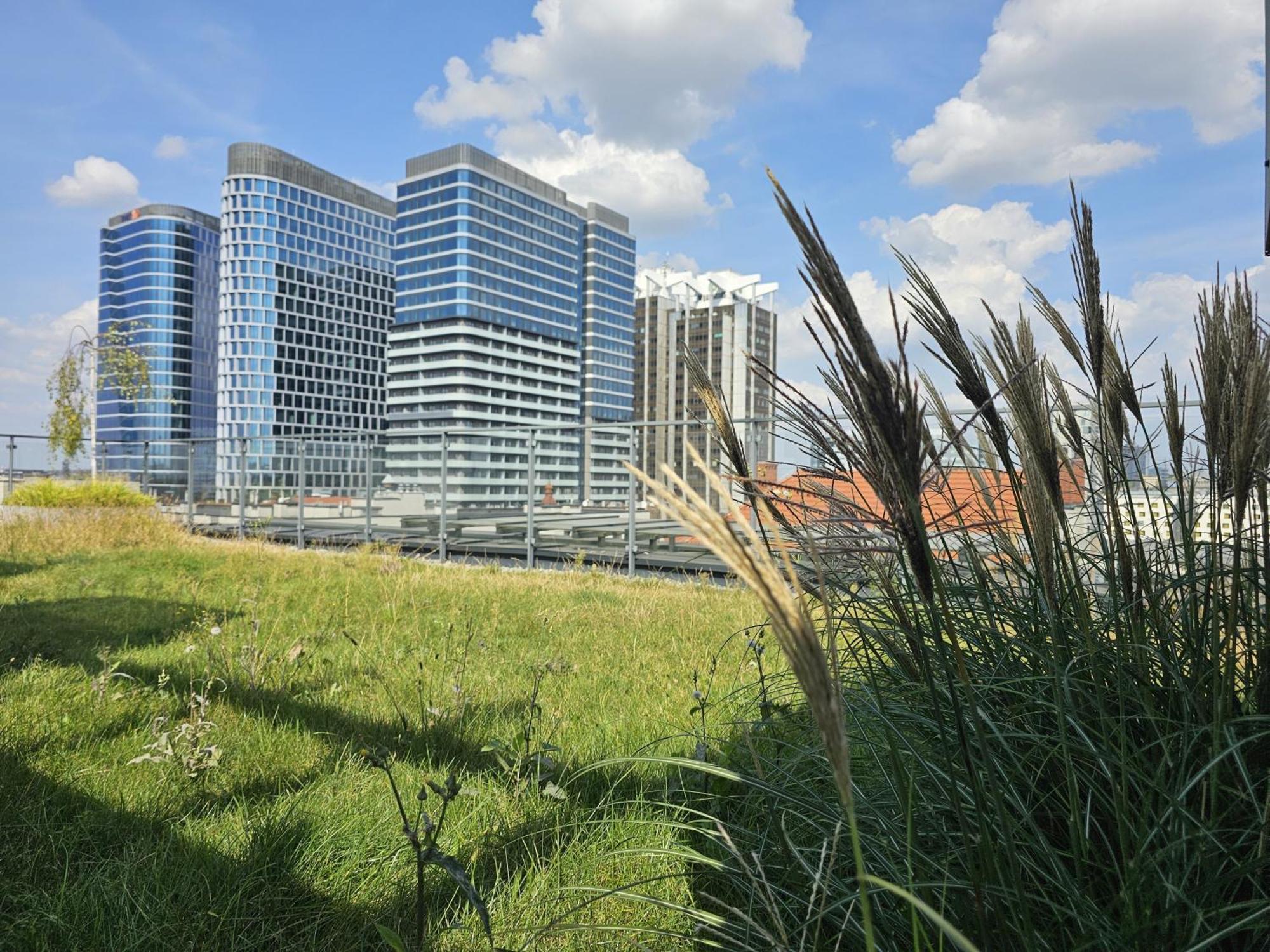 Urban Apartments Premium, Opolska 10 No 91, Free Garage, Self Check-In Katovice Exteriér fotografie